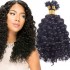 Microring extensions natural curly MC